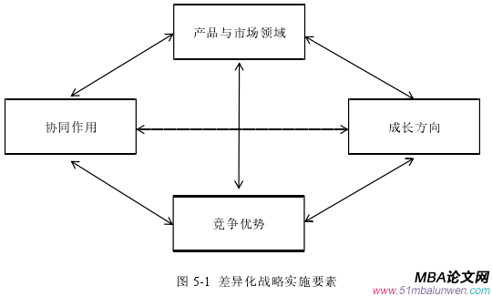 图 5-1 差异化战略实施要素