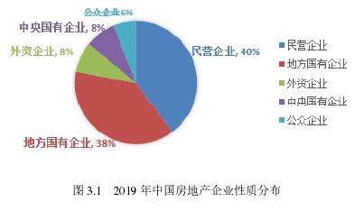图 3.1 2019 年中国房地产企业性质分布